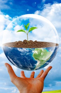 Обложка книги Вода - основа жизни