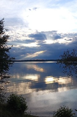 Обложка книги Шумел камыш