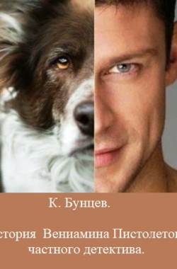 Обложка книги История Вениамина Пистолетова, частного детектива