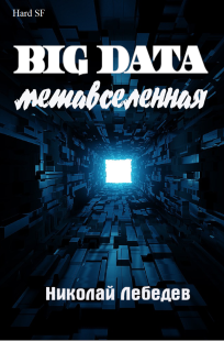 Обложка книги Big Data. Метавселенная