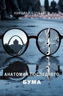 Обложка книги Анатомия последнего бума