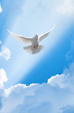 Обложка книги Басни Посохова про творчество