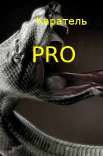 Обложка книги Каратель PRO
