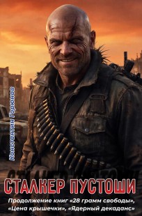 Обложка книги Сталкер Пустоши
