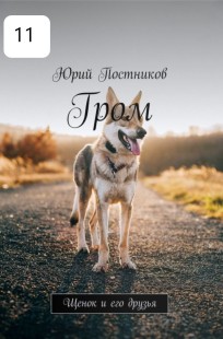 Обложка книги Гром. Щенок и его друзья