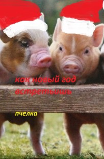 Обложка книги Как Новый год встретишь...