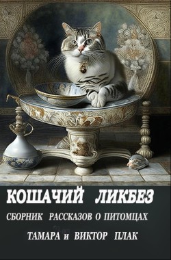 Обложка книги Кошачий ликбез