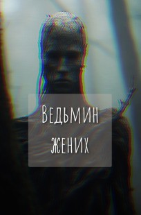 Обложка книги Ведьмин жених