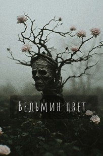 Обложка книги Ведьмин цвет