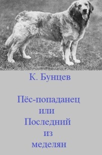 Обложка книги Пёс-попаданец, или Последний из меделян.