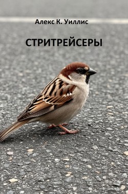 Обложка книги Стритрейсеры