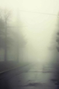 Обложка книги Бишкек 20...год