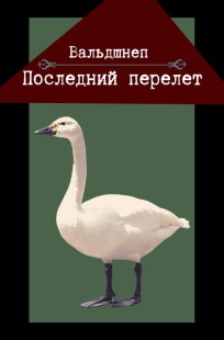 Обложка книги Последний перелет