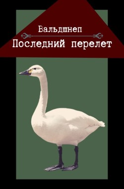 Обложка книги Последний перелет