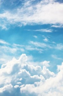 Обложка книги Фантазии баснописца Посохова