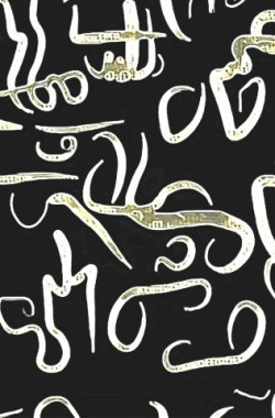 Обложка книги Черный круг