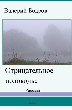 Обложка книги Отрицательное половодье