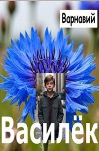 Обложка книги Василёк