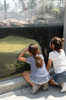 Обложка книги Барнаул