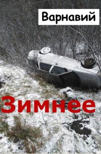 Обложка книги Зимнее