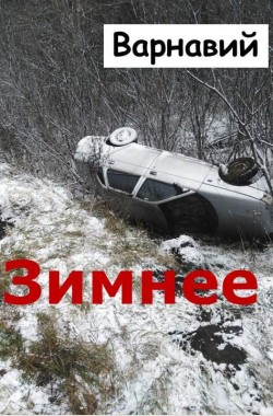 Обложка книги Зимнее