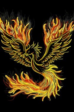 Обложка книги Из ветра и огня