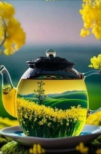 Обложка книги Почти индийское кино