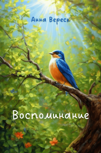 Обложка книги Воспоминание