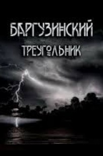 Обложка книги Баргузинский треугольник