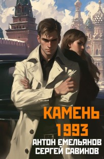 Обложка книги Камень 1993. Книга 1