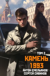 Обложка книги Камень 1993. Книга 2