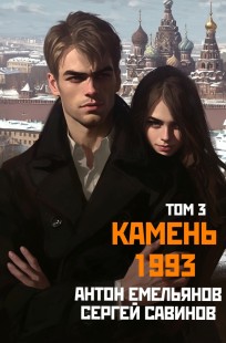Обложка книги Камень 1993. Книга 3