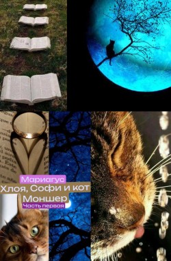 Обложка книги Хлоя, Софи и кот Моншер