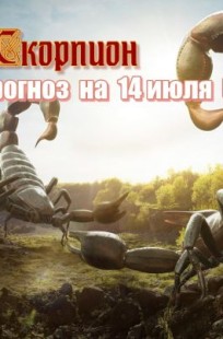 Обложка книги СКОРПИОН на 14 июля вторник