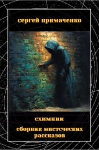 Обложка книги Схимник