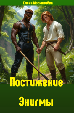 Обложка книги Постижение Энигмы