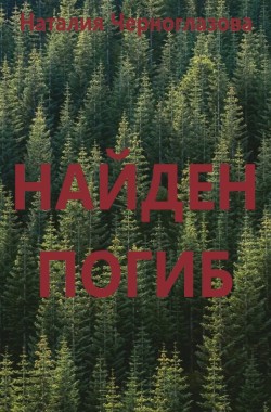 Обложка книги НАЙДЕН, ПОГИБ
