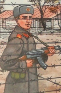 Обложка книги Выводной