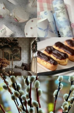 Обложка книги Верба