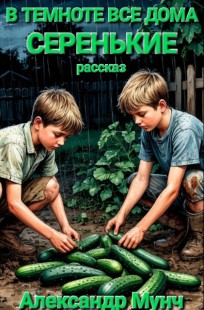 Обложка книги В темноте все дома серенькие