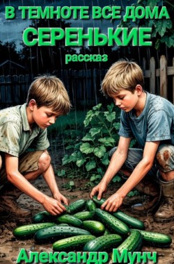 Обложка книги В темноте все дома серенькие