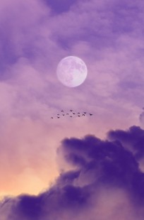 Обложка книги Полёт Луны