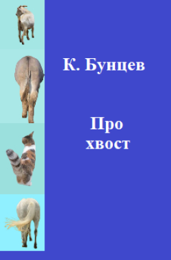 Обложка книги Про хвост(шуточная детская песенка)