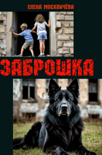 Обложка книги Заброшка
