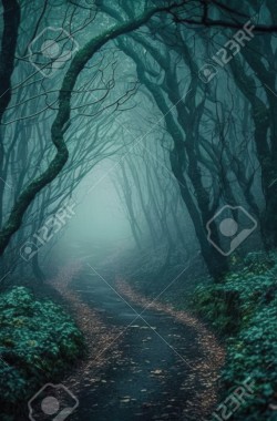 Обложка книги По тёмной тропе