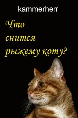 Обложка книги Что снится рыжему коту?