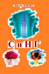 Обложка книги СиНГ