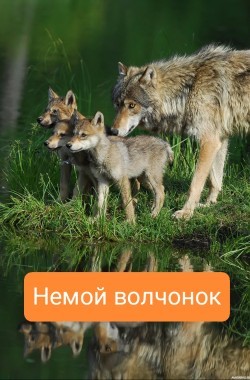 Обложка книги Немой волчонок