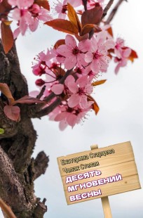Обложка книги Десять мгновений весны