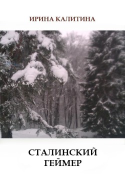 Обложка книги Сталинский геймер